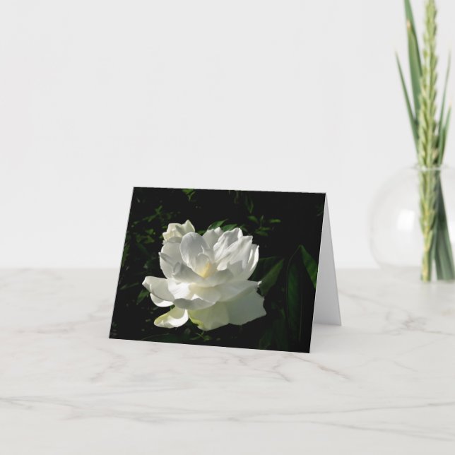 Cartão White Gardenia Blossom Note Card (Frente)
