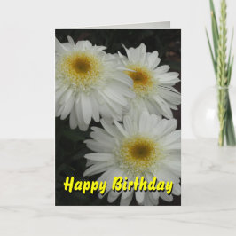 Cartão White Gerber Daisy Happy Birthday