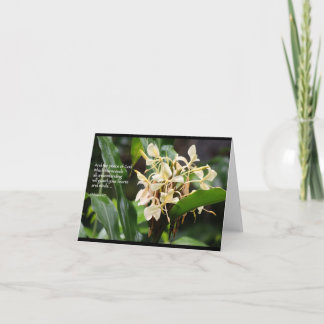 Cartão White ginger scripture card