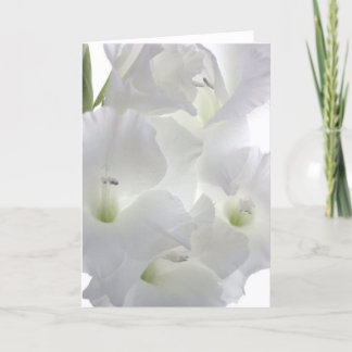Cartão White Gladiola Greeting Card