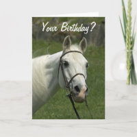 White Horse Birthday Card
