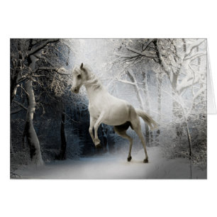Cartão White Horse in Snow
