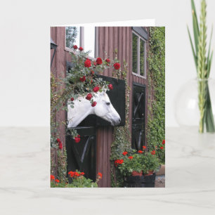 Cartão White Horse with Roses