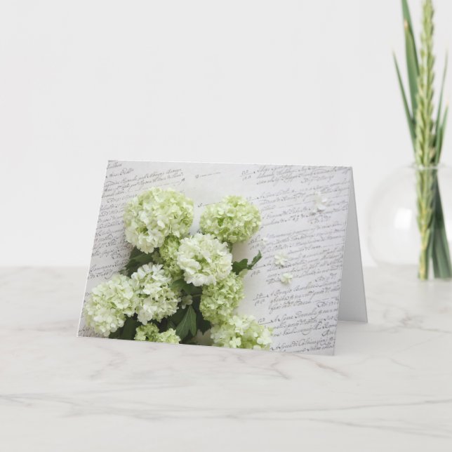 Cartão white hydrangeas with script writing greeting card (Frente)