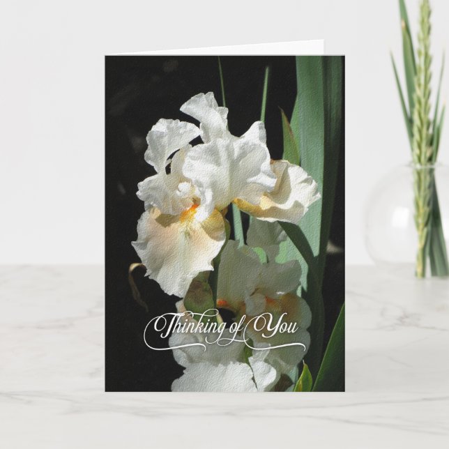 Cartão White Iris Thinking of You Blank Card (Frente)