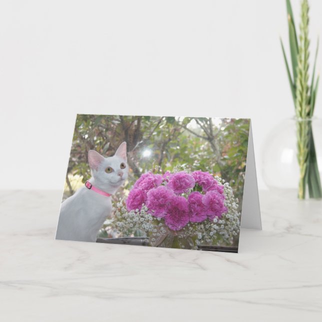 Cartão White Kitten and Pink Carnations Card (Frente)