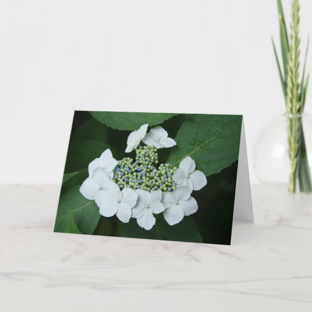 Cartão White Lace Greeting Card (Frente)