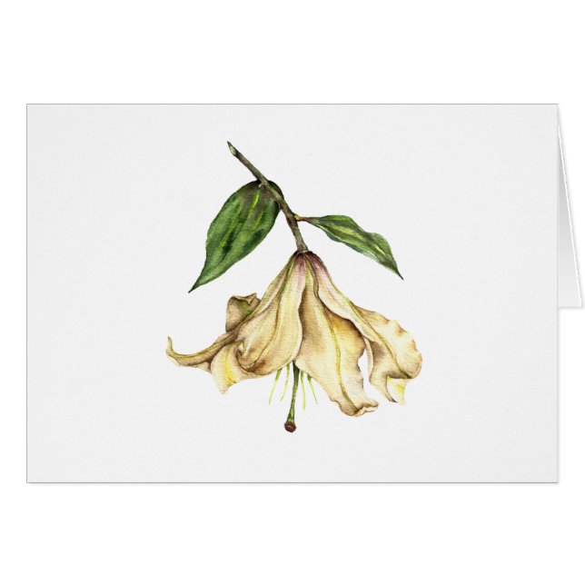 Cartão White Lily (Frente Horizontal)