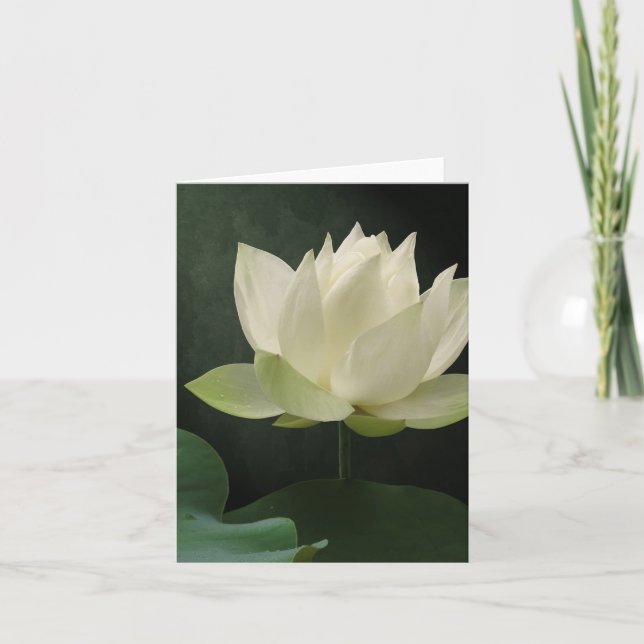 Cartão White Lotus Blossom Floral Notecard (Frente)
