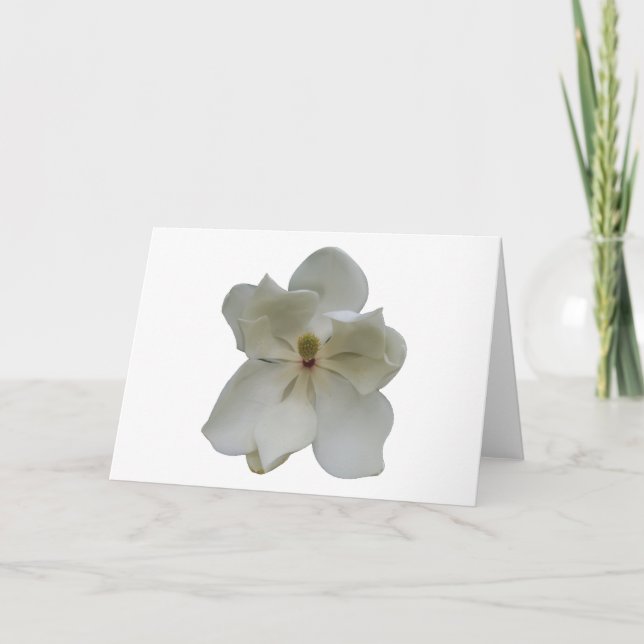 Cartão White Magnolia flower on blank note card (Frente)