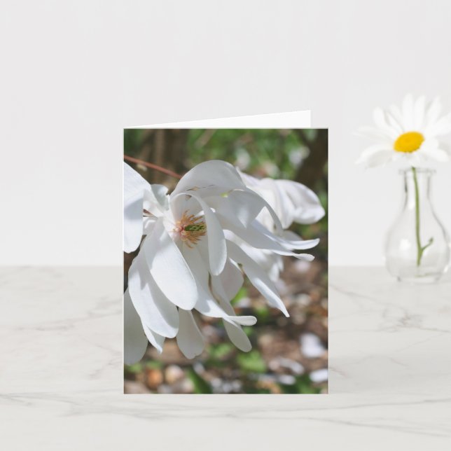 Cartão White Magnolia Flower Personalized Note (Planta pequena)