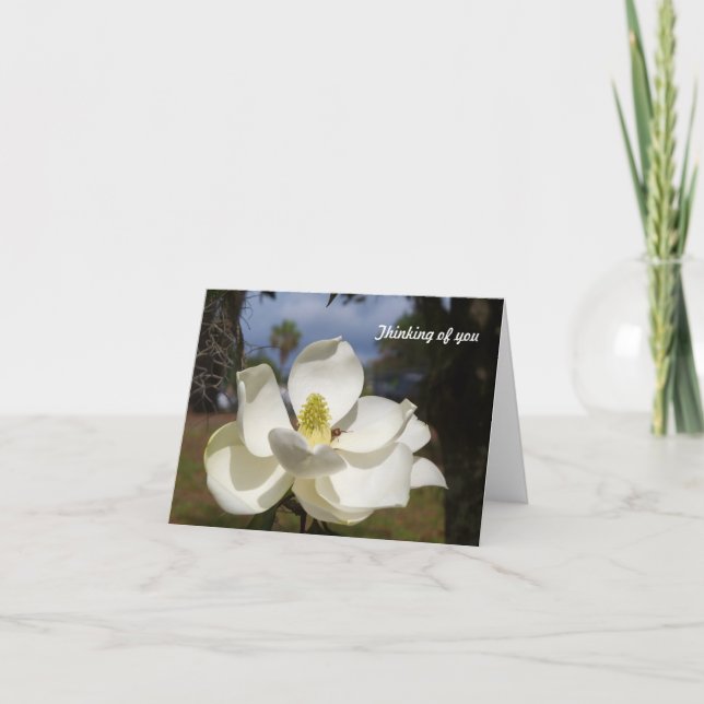 Cartão White Magnolia flower says Thinking of You (Frente)
