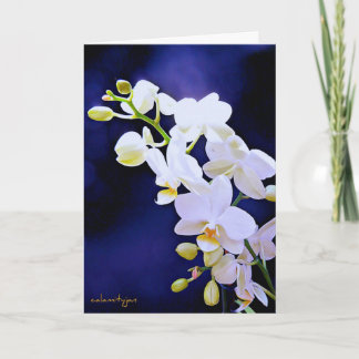Cartão White orchid on royal blue  Birthday Card