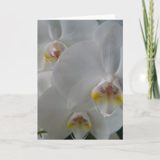 Cartão White Orchids on a blank card