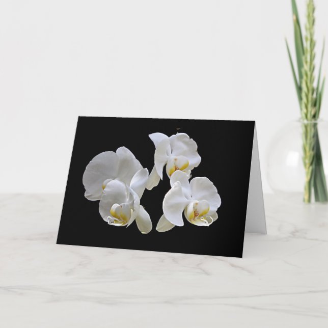 Cartão White Orchids on Black - Elegant Card (Frente)