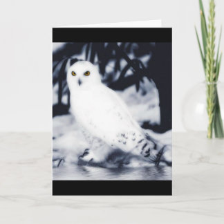 Cartão white owl greeting cards