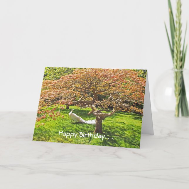 CARTÃO WHITE PEACOCK/DIFFERENTNESS IS MOST APPEALING/BIRT (Frente)