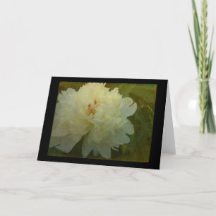 Cartão White Peony