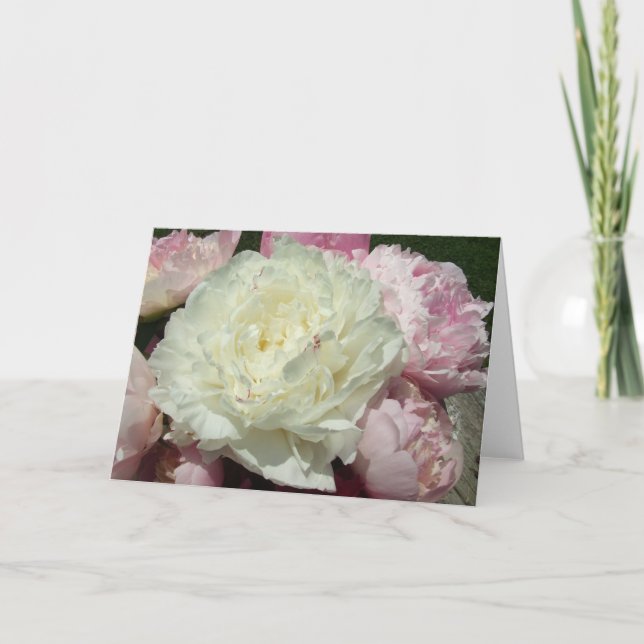 Cartão White Pink Peonies Blank Inside Greeting Card (Frente)