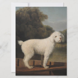 Cartão White Poodle in a Punt (por George Stubbs)