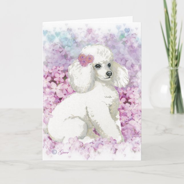 Cartão White Poodle na Impressão de Arte Lilacs (Frente)