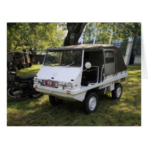 Cartão White Puch Haflinger