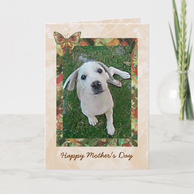 Cartão White Puppy Mothers Day Card | Photo Template (Frente)