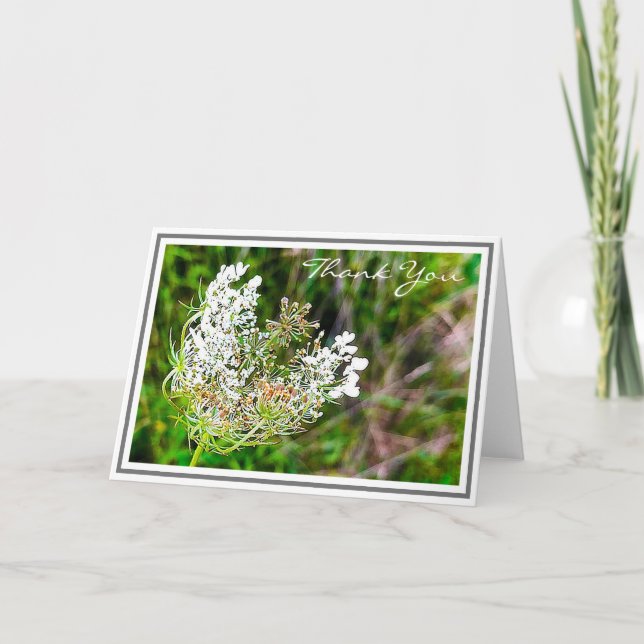Cartão White Queen Anne's Lace Flower in Green Field (Frente)