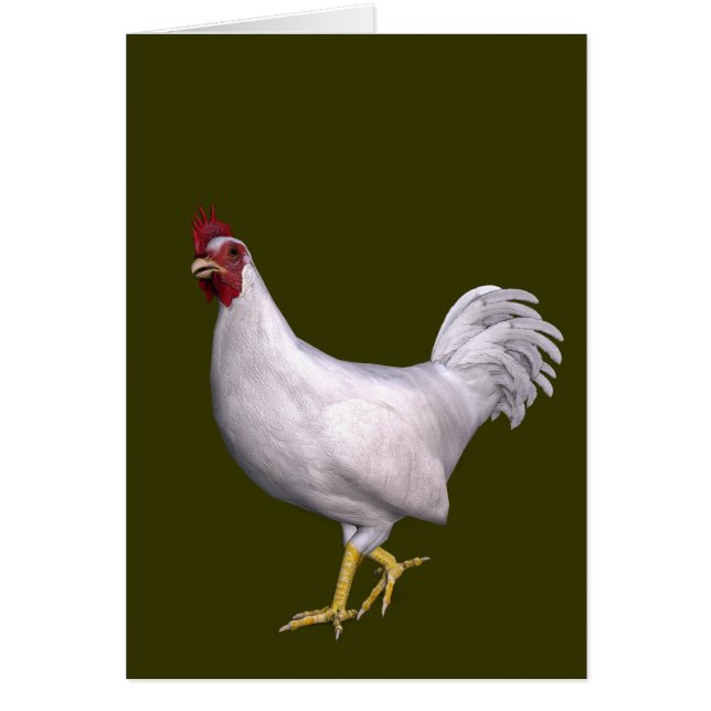 Cartão White Rooster (Frente)