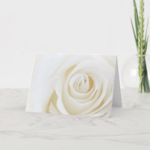 Cartão White Rose Blank Card