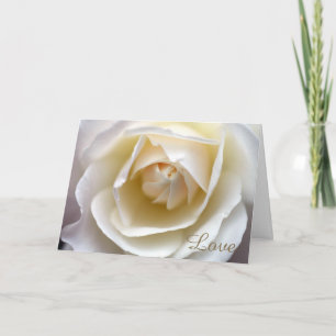 Cartão White Rose Love