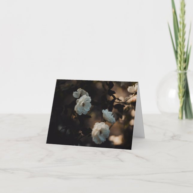 Cartão White roses in moody light, Sympathy (Frente)