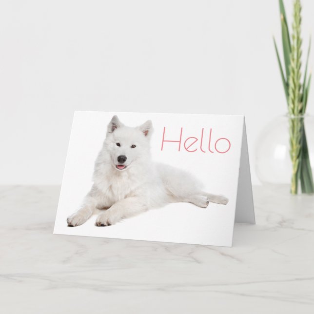Cartão White Samoyed Puppy Dog - Hello, Thinking Of You (Frente)