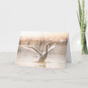 Cartão White Swan sobre a foto da natureza do lago