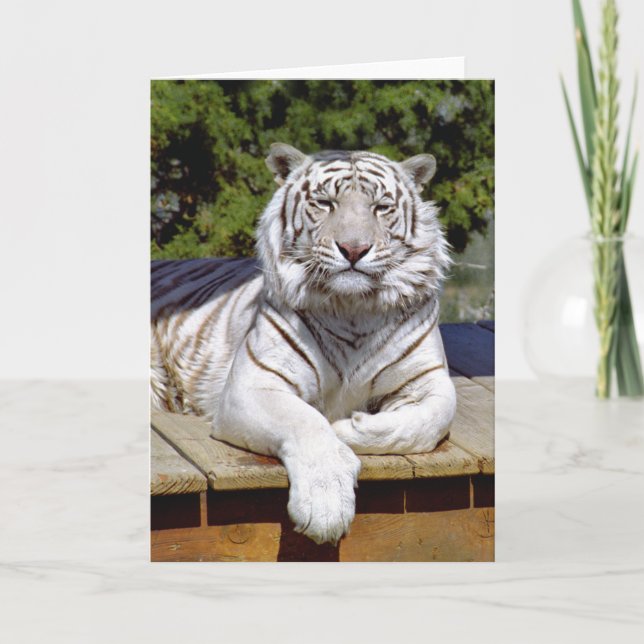 Cartão White Tiger 9 Note Card (Frente)