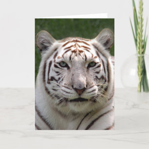 Cartão White Tiger Greeting Card