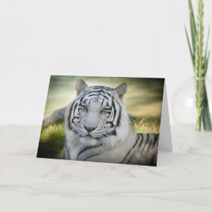 Cartão White Tiger (v2) Greeting Card Personalize