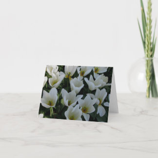 Cartão White Tulips