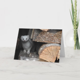 Cartão White Weasel Greeting Card, Blank Inside