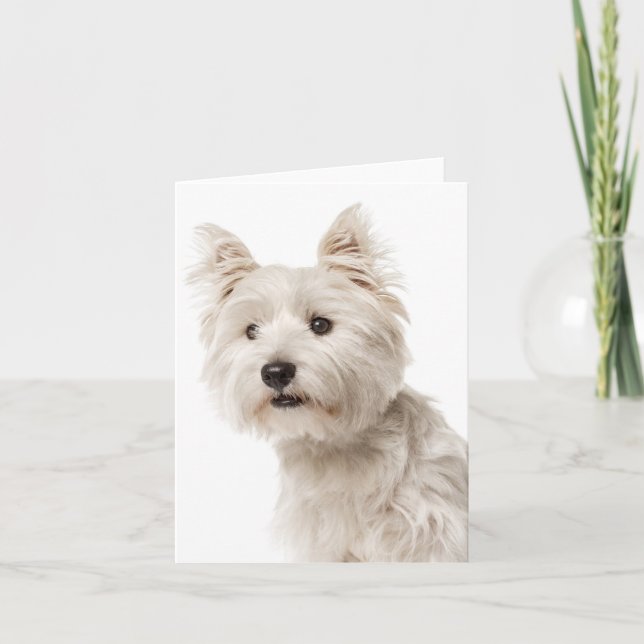 Cartão White West Highland Terrier Puppy Dog Hello Love (Frente)
