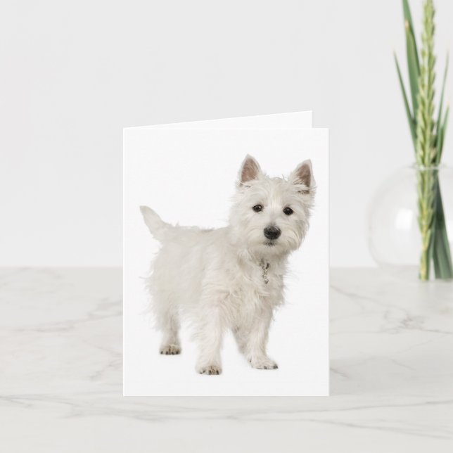 Cartão White West Highland Terrier Puppy Dog Hello Love (Frente)