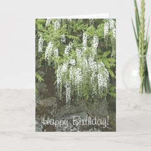 Cartão White wisteria birthday card