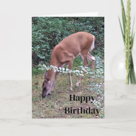 Cartão Whitetail Deer Grazing em Dusk Happy Birthday