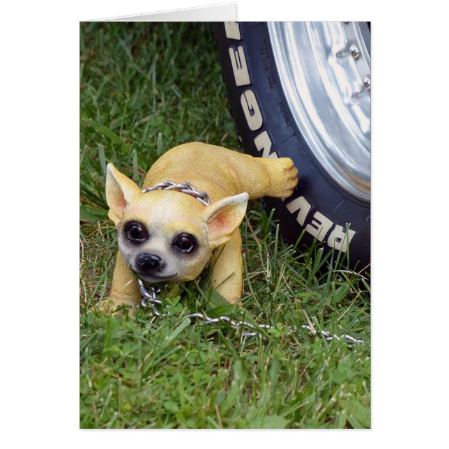 Cartão Whiz Kid (Frente)