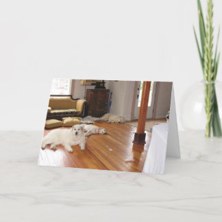 Cartão Wholesale destruction