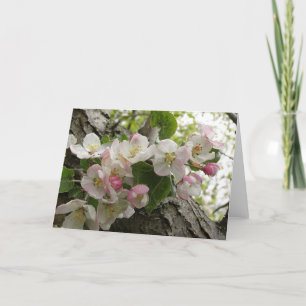 Cartão Wild Apple Blossoms - Greeting Card