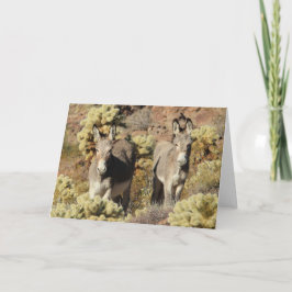 Cartão Wild Burros Greeting