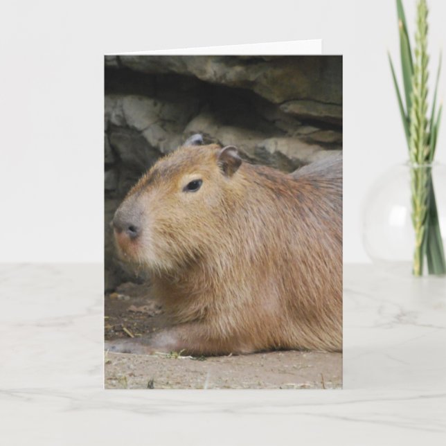 Cartão Wild Capybara Greeting Card (Frente)
