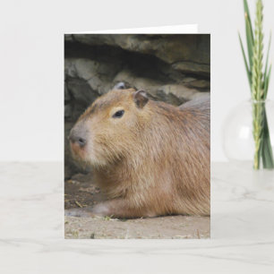 Cartão Wild Capybara Greeting Card