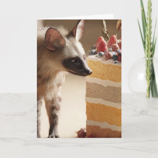 Cartão Wild Curiosity & Layered Cake (Frente)